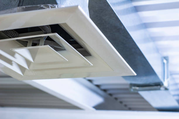 Air Duct Mold Removal in Lewiston, CA