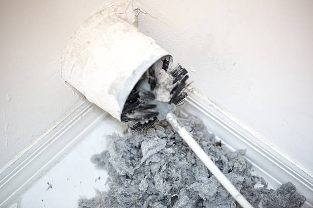 Best Professional Duct Cleaning Services  in Lewiston, CA